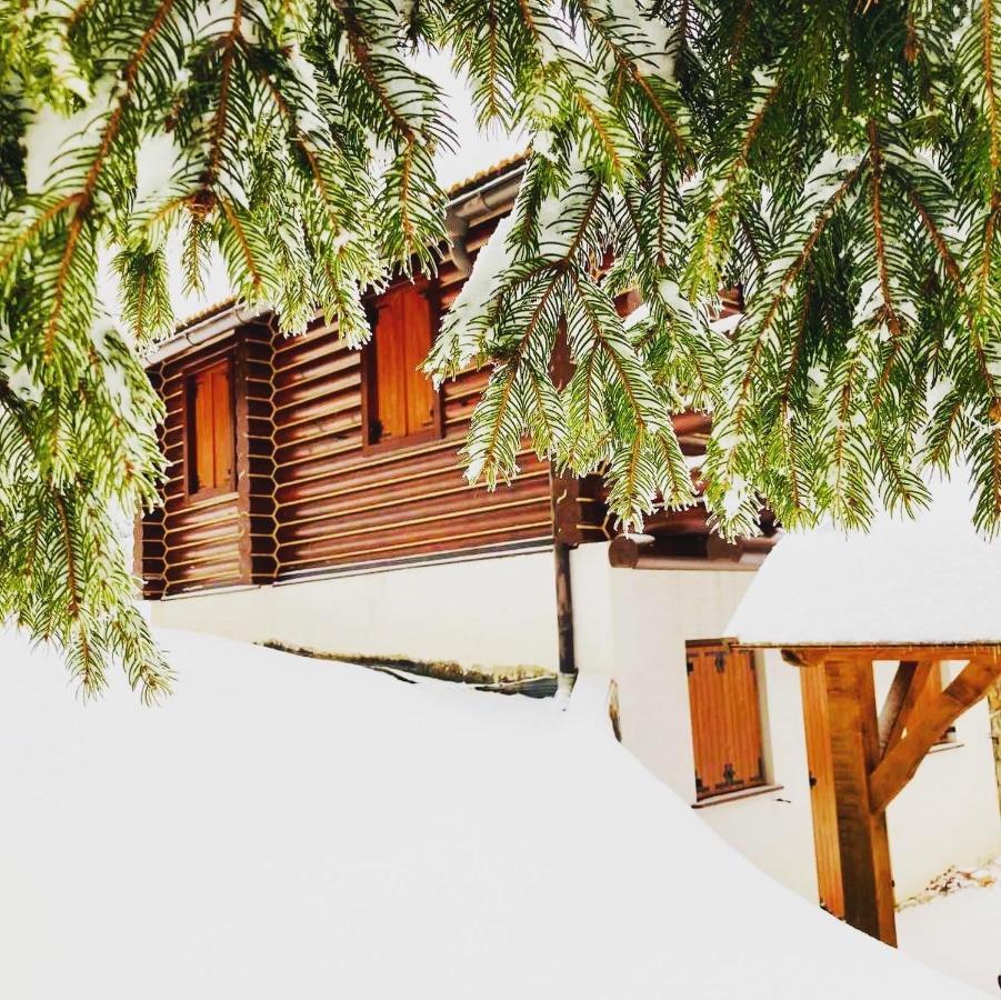 Pine Lodge Hlevci Esterno foto